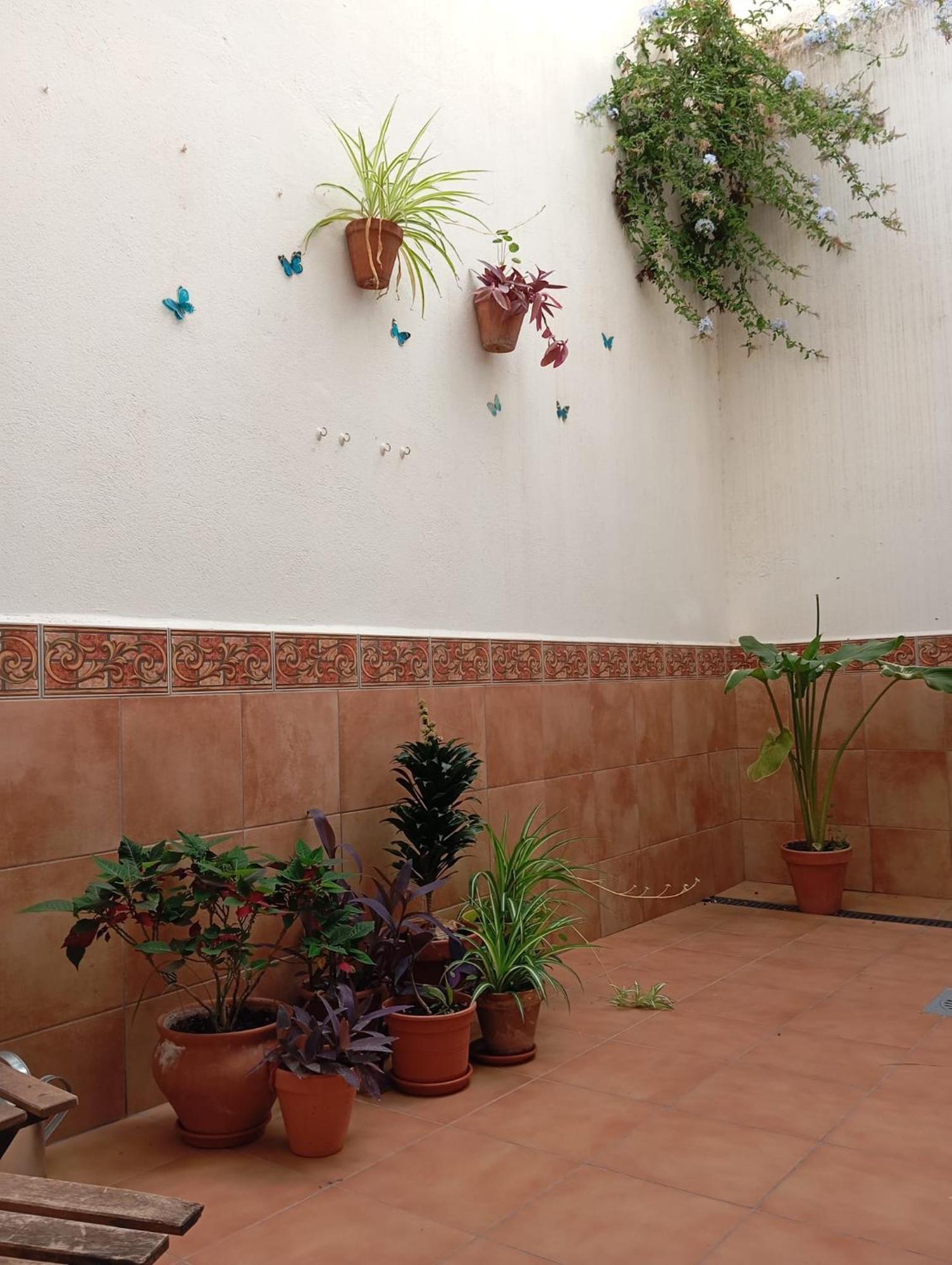 Apartamento Amapola มาลากา ภายนอก รูปภาพ